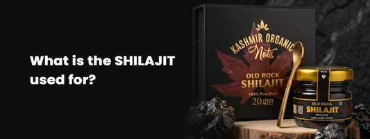 What Is Shilajit Used For?