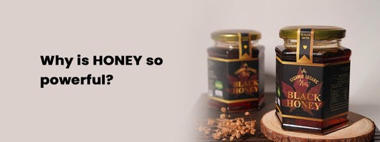 Why Is Honey So Powerful?