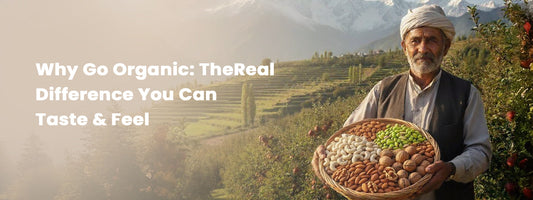 Why Go Organic: The Real Difference You Can Taste and Feel