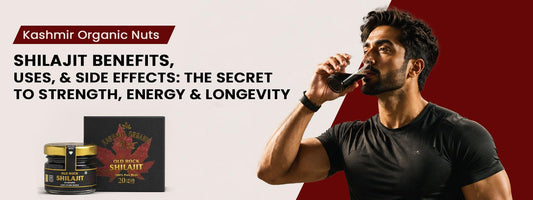 Shilajit Benefits, Uses, and Side Effects: The Secret to Strength, Energy & Longevity