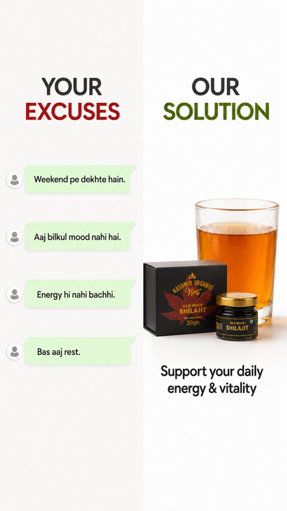 Kashmir Organic Old Rock Shilajit/Shilajeet